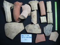 Cronica Cercetărilor Arheologice din România, Campania 2008. Raportul nr. 34