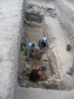 Cronica Cercetărilor Arheologice din România, Campania 2008. Raportul nr. 34