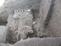 Cronica Cercetărilor Arheologice din România, Campania 2008. Raportul nr. 34