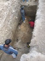 Cronica Cercetărilor Arheologice din România, Campania 2008. Raportul nr. 34
