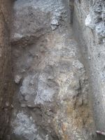 Cronica Cercetărilor Arheologice din România, Campania 2008. Raportul nr. 34