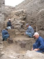 Cronica Cercetărilor Arheologice din România, Campania 2008. Raportul nr. 34