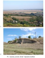 Cronica Cercetărilor Arheologice din România, Campania 2008. Raportul nr. 36