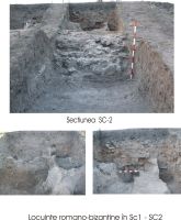 Cronica Cercetărilor Arheologice din România, Campania 2008. Raportul nr. 37