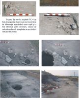 Cronica Cercetărilor Arheologice din România, Campania 2008. Raportul nr. 37