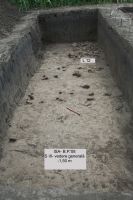 Cronica Cercetărilor Arheologice din România, Campania 2008. Raportul nr. 38