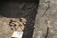 Cronica Cercetărilor Arheologice din România, Campania 2008. Raportul nr. 38