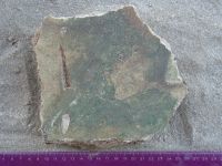 Cronica Cercetărilor Arheologice din România, Campania 2008. Raportul nr. 39.<br /> Sectorul 02-poze-Basilica-extramuros.