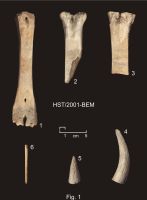 Cronica Cercetărilor Arheologice din România, Campania 2008. Raportul nr. 39.<br /> Sectorul 03-poze-IMDA-Basilica-extramuros.