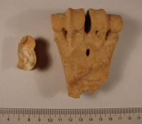 Cronica Cercetărilor Arheologice din România, Campania 2008. Raportul nr. 39.<br /> Sectorul 04-pozeIMDA-Basilica-Florescu.