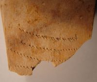 Cronica Cercetărilor Arheologice din România, Campania 2008. Raportul nr. 39.<br /> Sectorul 04-pozeIMDA-Basilica-Florescu.