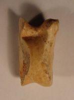Cronica Cercetărilor Arheologice din România, Campania 2008. Raportul nr. 39.<br /> Sectorul 04-pozeIMDA-Basilica-Florescu.
