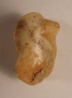 Cronica Cercetărilor Arheologice din România, Campania 2008. Raportul nr. 39.<br /> Sectorul 04-pozeIMDA-Basilica-Florescu.