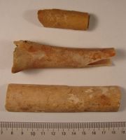 Cronica Cercetărilor Arheologice din România, Campania 2008. Raportul nr. 39.<br /> Sectorul 04-pozeIMDA-Basilica-Florescu.