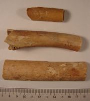 Cronica Cercetărilor Arheologice din România, Campania 2008. Raportul nr. 39.<br /> Sectorul 04-pozeIMDA-Basilica-Florescu.