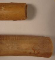 Cronica Cercetărilor Arheologice din România, Campania 2008. Raportul nr. 39.<br /> Sectorul 04-pozeIMDA-Basilica-Florescu.