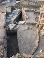Cronica Cercetărilor Arheologice din România, Campania 2008. Raportul nr. 39.<br /> Sectorul 05-poze-Sector-T.