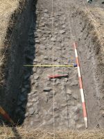 Cronica Cercetărilor Arheologice din România, Campania 2008. Raportul nr. 39.<br /> Sectorul 06-poze-Sector-sud.