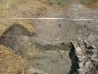 Cronica Cercetărilor Arheologice din România, Campania 2008. Raportul nr. 39.<br /> Sectorul 06-poze-Sector-sud.