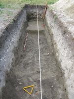 Cronica Cercetărilor Arheologice din România, Campania 2008. Raportul nr. 39.<br /> Sectorul 06-poze-Sector-sud.