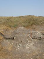 Cronica Cercetărilor Arheologice din România, Campania 2008. Raportul nr. 39.<br /> Sectorul 06-poze-Sector-sud.
