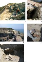 Cronica Cercetărilor Arheologice din România, Campania 2008. Raportul nr. 42.<br /> Sectorul 01-poze-1.