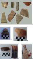 Cronica Cercetărilor Arheologice din România, Campania 2008. Raportul nr. 42.<br /> Sectorul 01-poze-1.