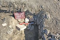 Cronica Cercetărilor Arheologice din România, Campania 2008. Raportul nr. 42.<br /> Sectorul 02-poze-sector-central.