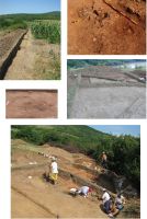 Cronica Cercetărilor Arheologice din România, Campania 2008. Raportul nr. 47