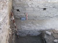 Cronica Cercetărilor Arheologice din România, Campania 2008. Raportul nr. 52