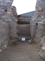 Cronica Cercetărilor Arheologice din România, Campania 2008. Raportul nr. 52