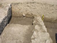 Cronica Cercetărilor Arheologice din România, Campania 2008. Raportul nr. 60