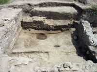 Cronica Cercetărilor Arheologice din România, Campania 2008. Raportul nr. 61