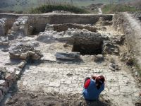 Cronica Cercetărilor Arheologice din România, Campania 2008. Raportul nr. 61