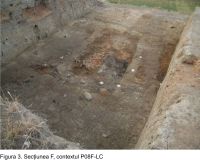 Cronica Cercetărilor Arheologice din România, Campania 2008. Raportul nr. 65