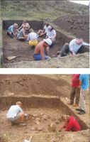 Cronica Cercetărilor Arheologice din România, Campania 2008. Raportul nr. 71