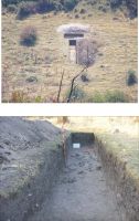 Cronica Cercetărilor Arheologice din România, Campania 2008. Raportul nr. 71