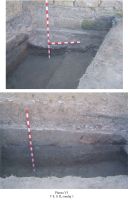 Cronica Cercetărilor Arheologice din România, Campania 2008. Raportul nr. 83