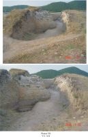 Cronica Cercetărilor Arheologice din România, Campania 2008. Raportul nr. 83