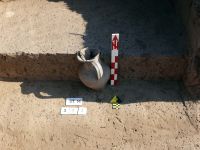 Cronica Cercetărilor Arheologice din România, Campania 2008. Raportul nr. 86