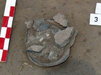 Cronica Cercetărilor Arheologice din România, Campania 2008. Raportul nr. 86
