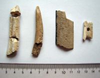 Cronica Cercetărilor Arheologice din România, Campania 2008. Raportul nr. 87.<br /> Sectorul 01-poze-IMDA.