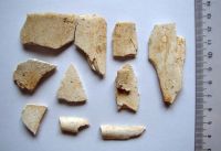 Cronica Cercetărilor Arheologice din România, Campania 2008. Raportul nr. 87.<br /> Sectorul 01-poze-IMDA.