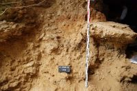 Cronica Cercetărilor Arheologice din România, Campania 2008. Raportul nr. 98