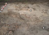 Cronica Cercetărilor Arheologice din România, Campania 2008. Raportul nr. 106