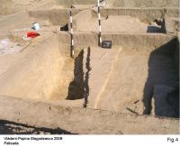 Cronica Cercetărilor Arheologice din România, Campania 2008. Raportul nr. 107