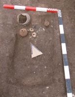 Cronica Cercetărilor Arheologice din România, Campania 2008. Raportul nr. 113