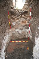Cronica Cercetărilor Arheologice din România, Campania 2008. Raportul nr. 123