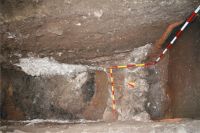 Cronica Cercetărilor Arheologice din România, Campania 2008. Raportul nr. 123
