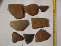 Cronica Cercetărilor Arheologice din România, Campania 2008. Raportul nr. 124